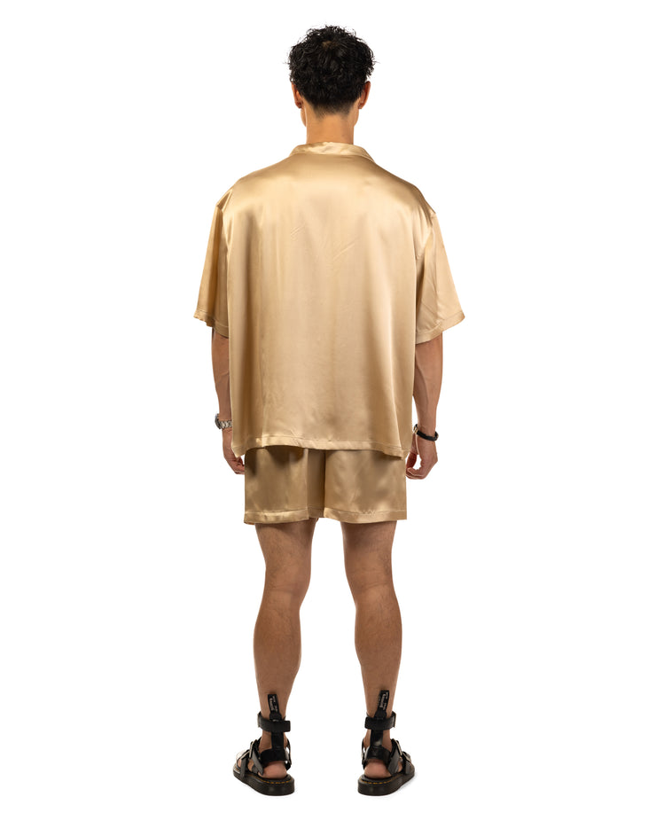 Aurelian Silk Set
